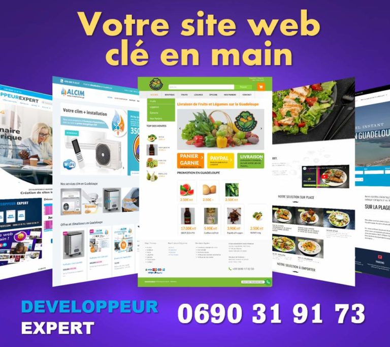 D Veloppeur Expert Cr Ation De Site Internet En Guadeloupe